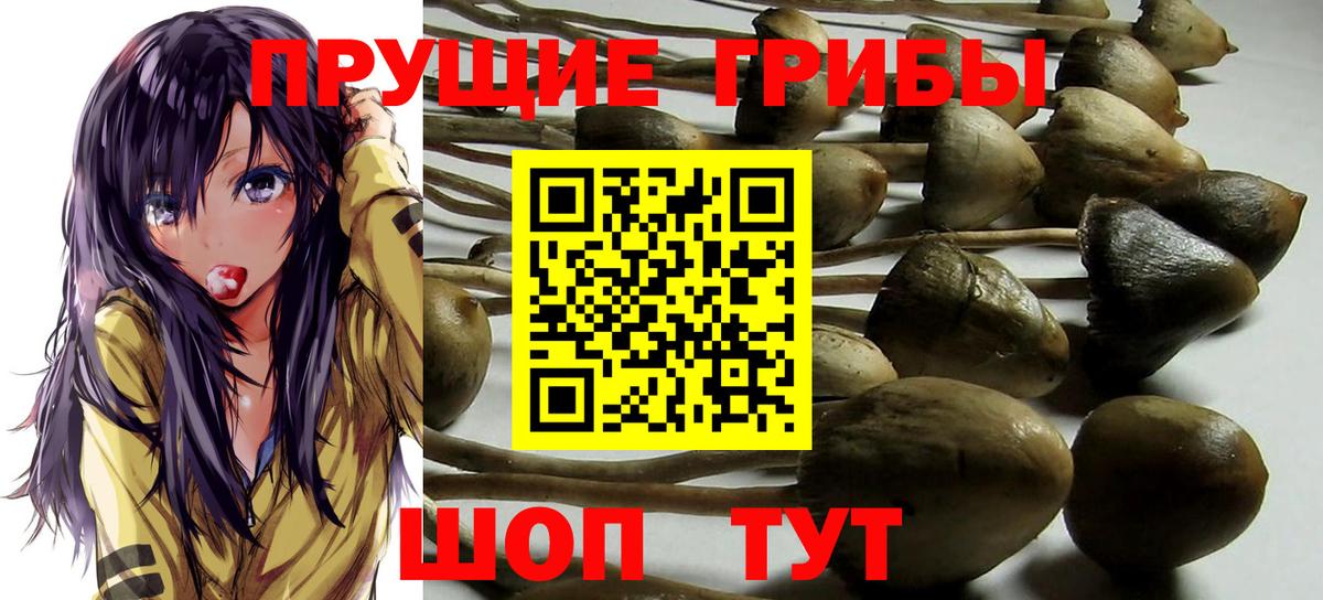 Псилоцибиновые грибы MAGIC MUSHROOMS Медногорск