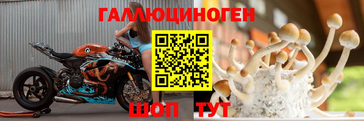Медногорск  Галлюциногенные грибы мицелий  Псилоцибиновые грибы Psilocybe  наркотики  Вход с VPN 